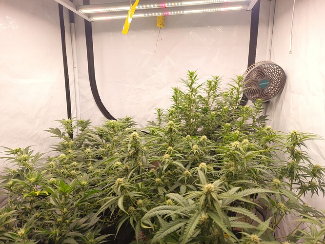 Growreport Bild 6