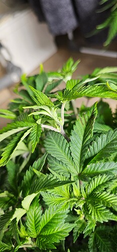 Growreport Bild 24