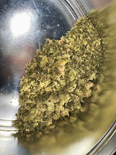 Growreport Bild 76