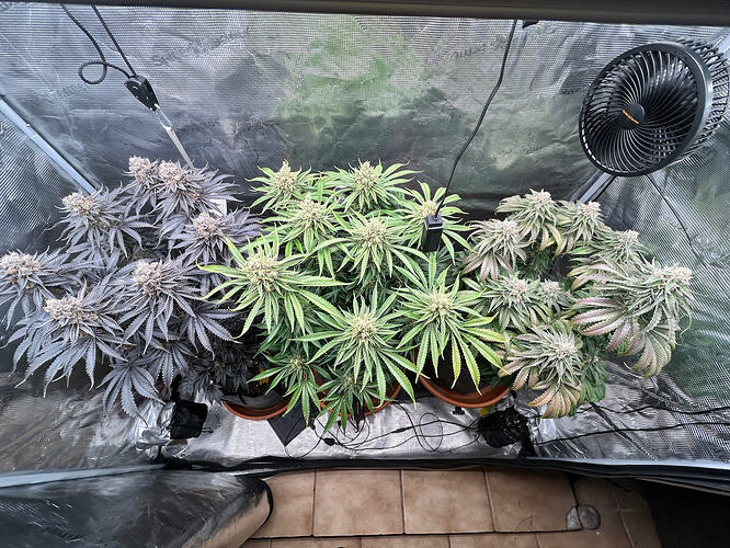 Growreport Bild 25