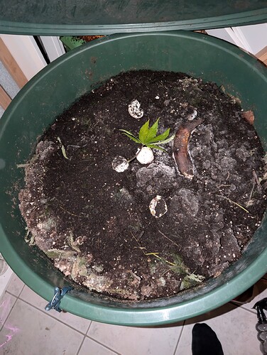 Growreport Bild 13