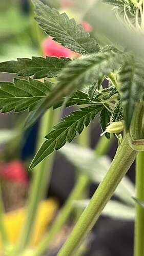 Growreport Bild 3