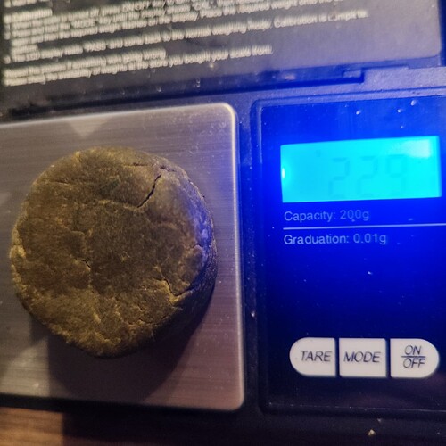Growreport Bild 3