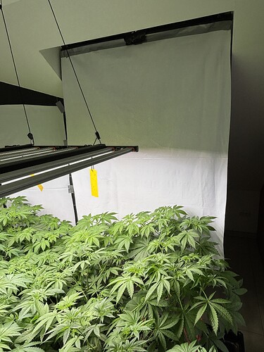 Growreport Bild 28