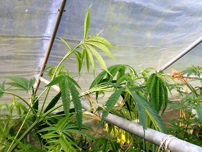 Growreport Bild 12