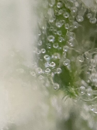 Growreport Bild 15