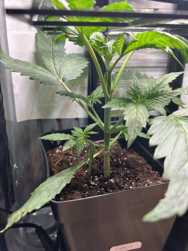 Growreport Bild 2
