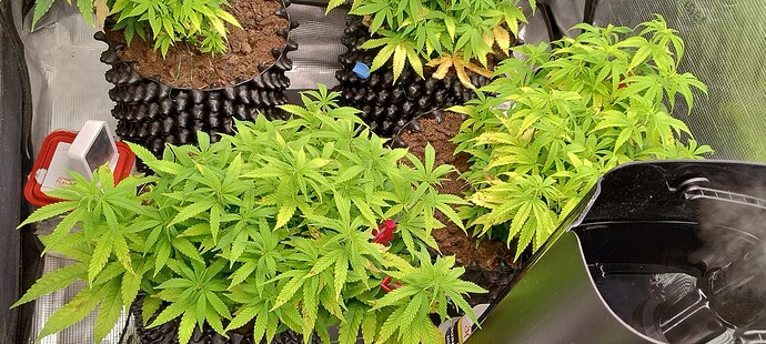 IMG_20251104_205512438_HDR
