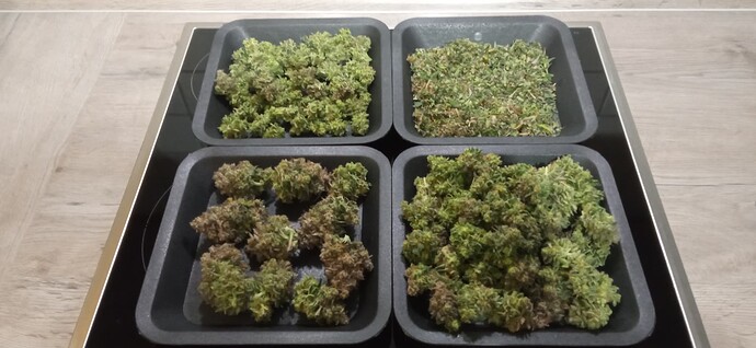 Growreport Bild 6