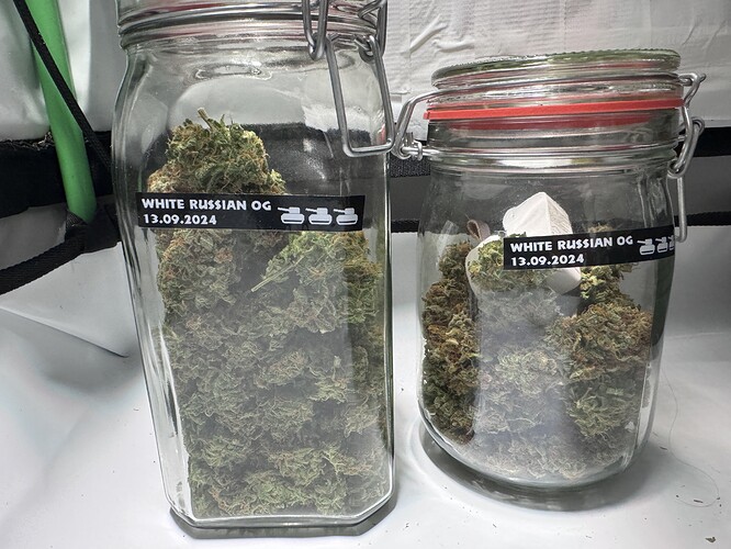 Growreport Bild 40