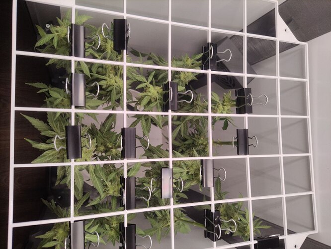 photo_1_2024-08-23_20-47-18