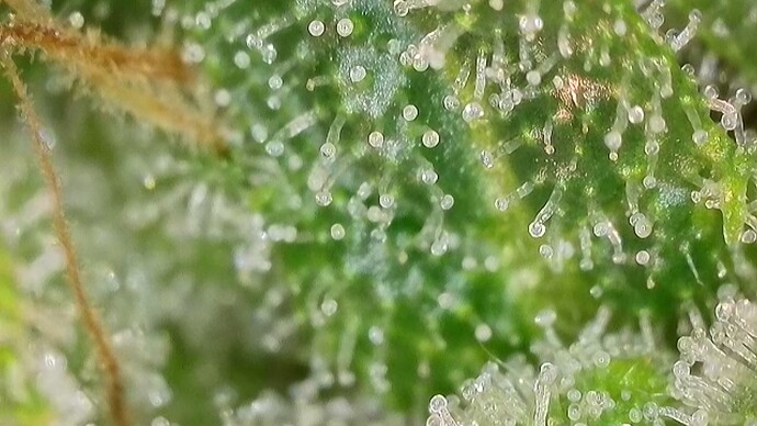 Growreport Bild 18