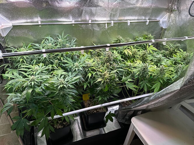 Growreport Bild 30
