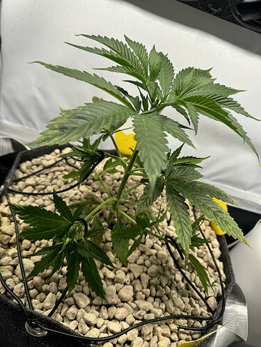 20240430_174612782_iOS