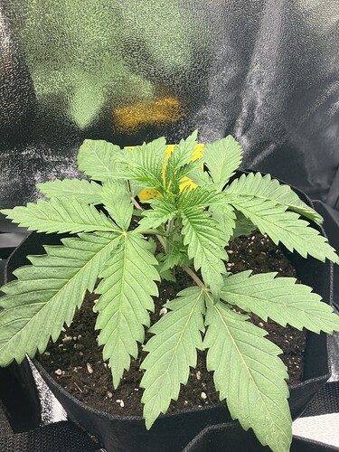 Growreport Bild 10