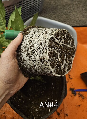 Growreport Bild 15