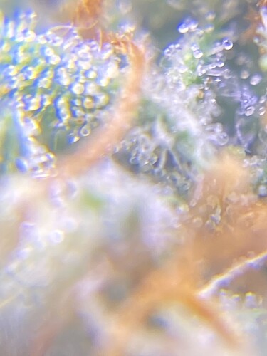 Growreport Bild 16