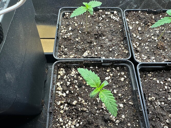 Growreport Bild 14