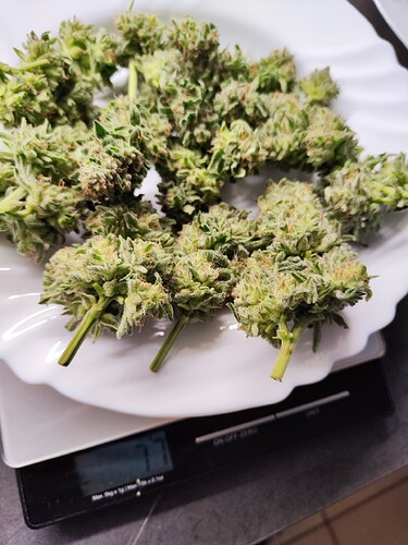 Growreport Bild 2