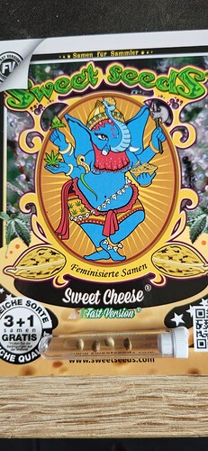 f11d76cf-08ea-4984-b4a7-bdf89f363170