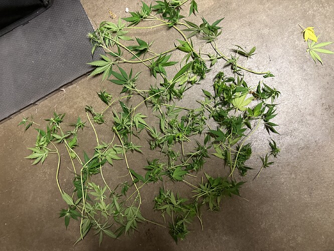 Growreport Bild 11