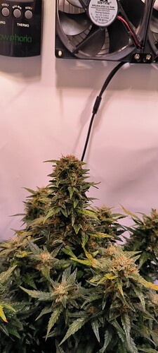Growreport Bild 13