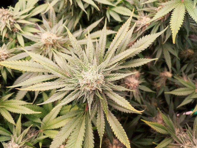 Growreport Bild 14