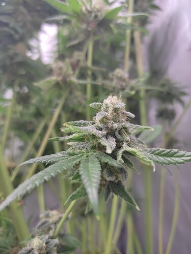 Growreport Bild 17