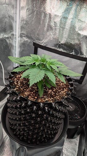 PXL_20240714_164130397.MP