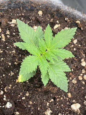 Growreport Bild 26
