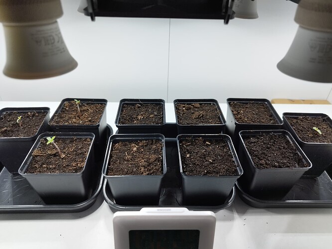 Growreport Bild 2