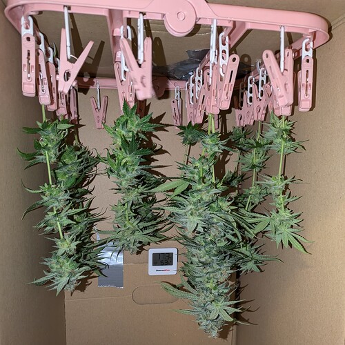 Growreport Bild 6
