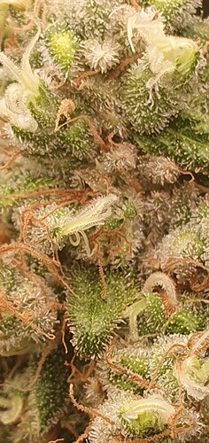 Growreport Bild 11