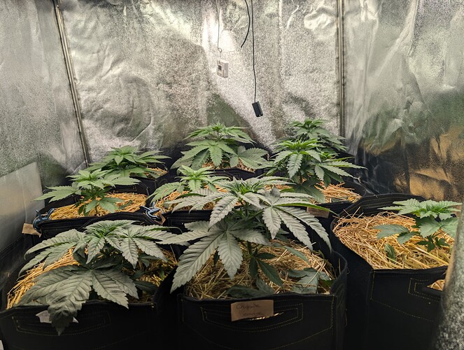 Growreport Bild 3