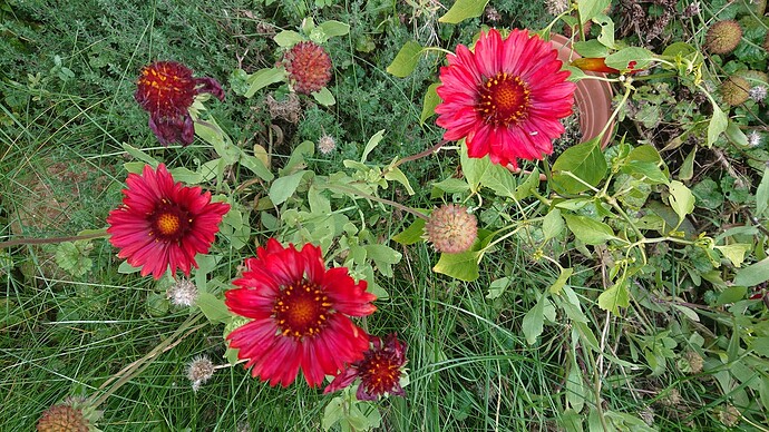 Growreport Bild 11