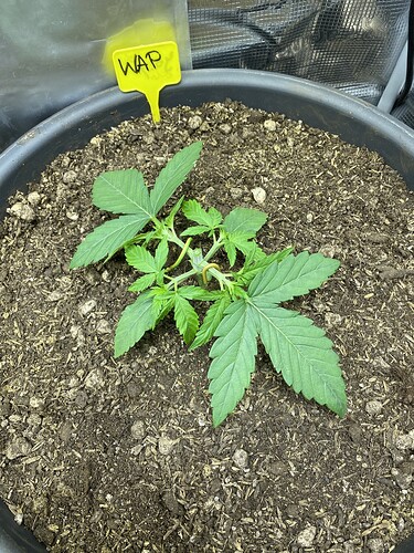 Growreport Bild 15