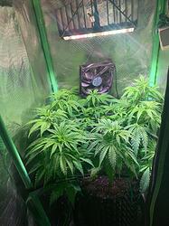 WhatsApp Bild 2024-12-10 um 16.18.18_5301dab8