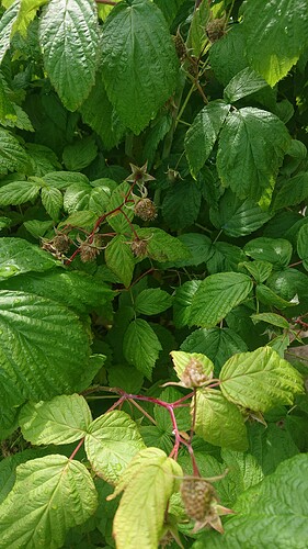 Growreport Bild 23