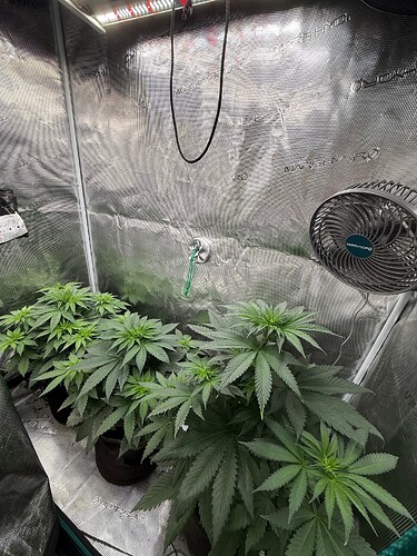 Growreport Bild 8