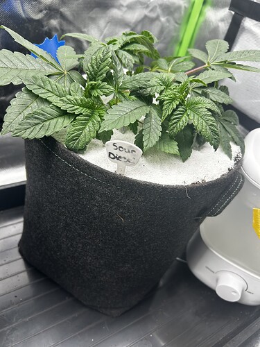 Growreport Bild 16
