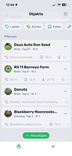 Growreport Bild 7