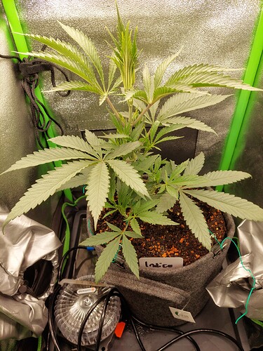 Growreport Bild 14