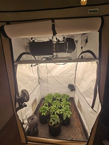 Growreport Bild 4