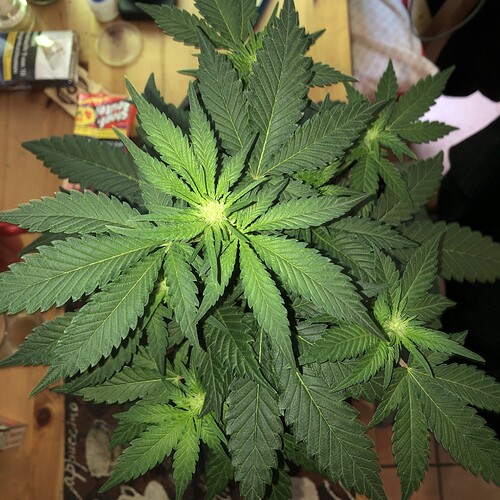 Growreport Bild 14