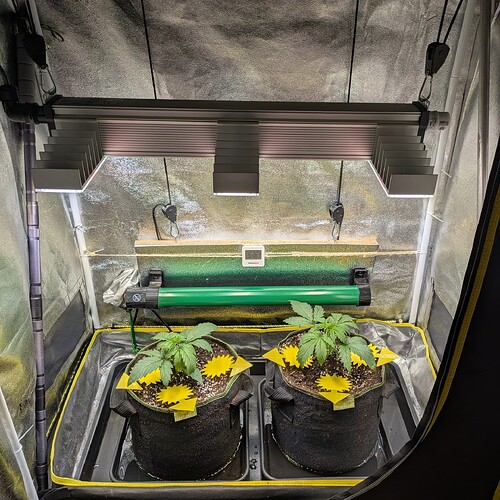 Growreport Bild 13