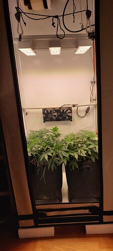 Growreport Bild 1