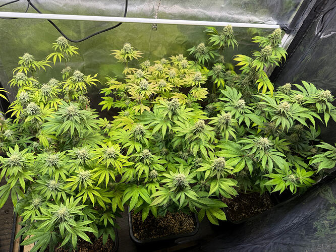 Growreport Bild 12