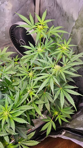 Growreport Bild 9