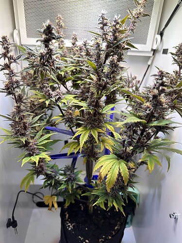 Growreport Bild 1