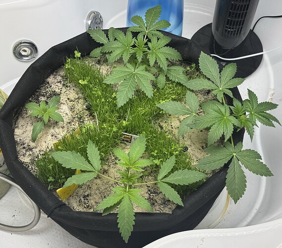 Growreport Bild 10